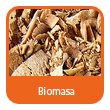 Biomasa